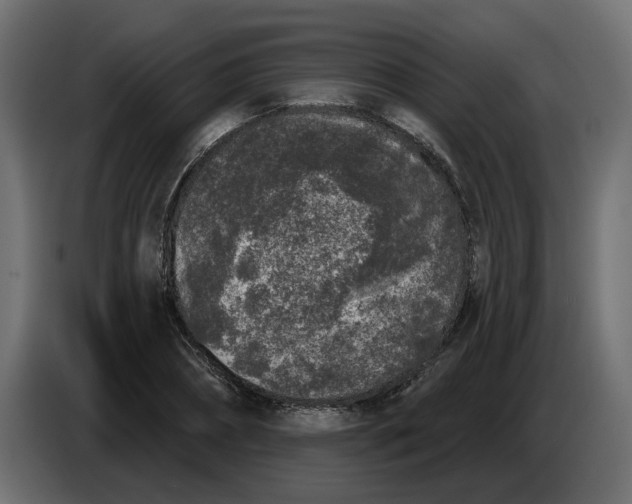X0000083590882200703021842
