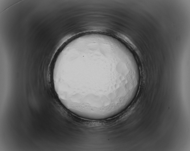X0000083590883200703021842