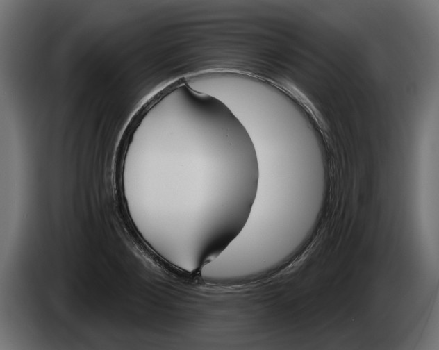X0000083590884200703021842