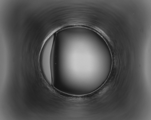 X0000083590885200703021842