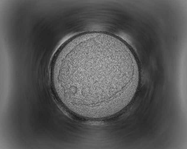 X0000083590886200703021842