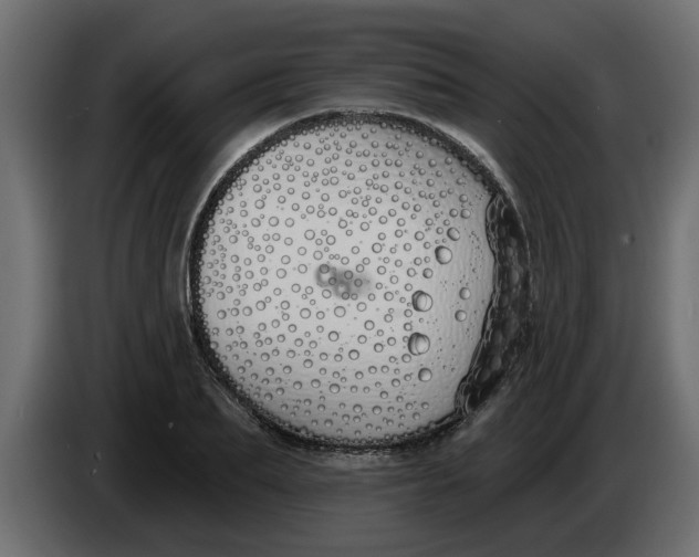 X0000083590887200703021842