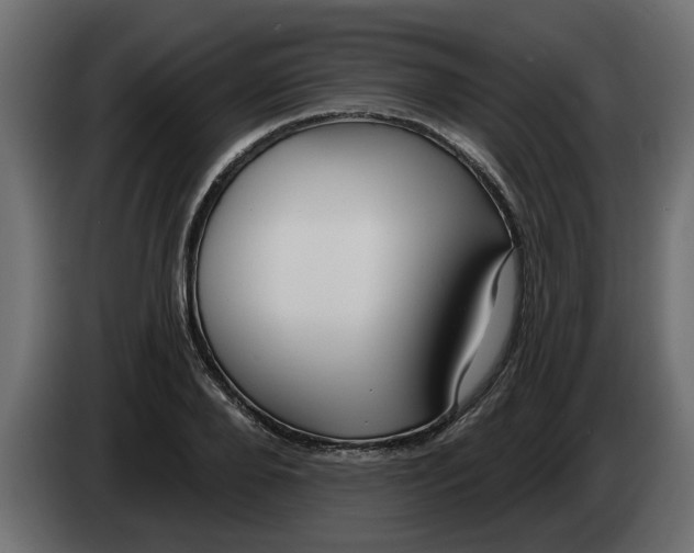 X0000083590888200703021842