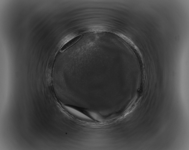 X0000083590889200703021842