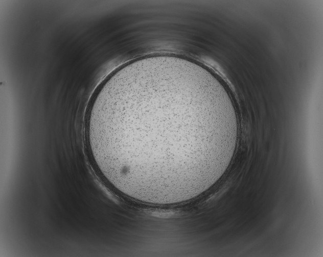 X0000083590890200703021842