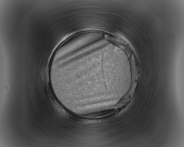 X0000083590892200703021842