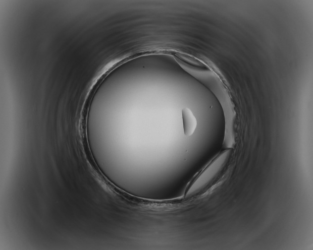 X0000083590893200703021842