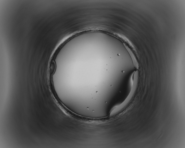 X0000083590894200703021842