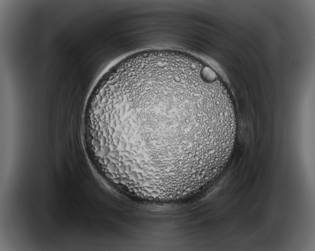 X0000083590895200703021842