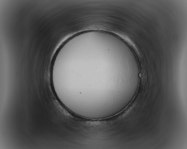 X0000083590896200703021842
