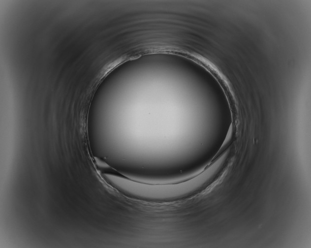 X0000083590897200703021842