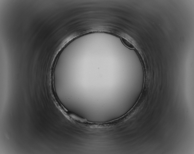 X0000083590898200703021842