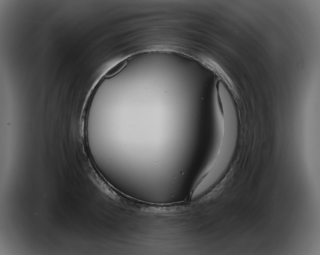 X0000083590900200703021842