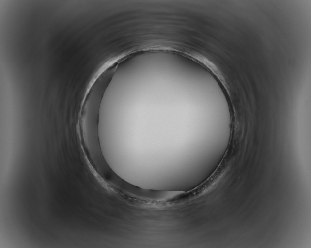 X0000083590901200703021842