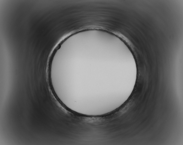 X0000083590902200703021842