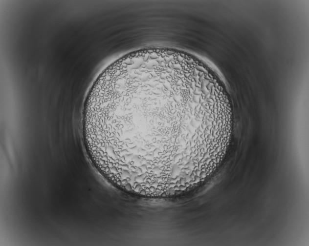 X0000083590903200703021842