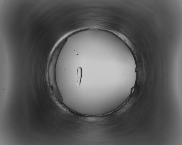 X0000083590904200703021842
