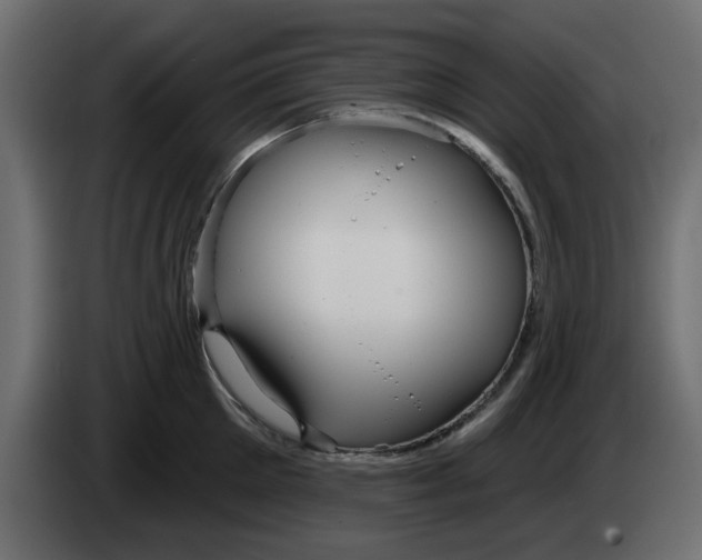 X0000083590905200703021842