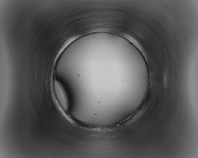 X0000083590906200703021841