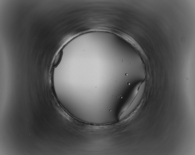 X0000083590908200703021841