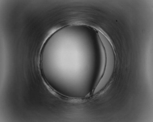 X0000083590909200703021841