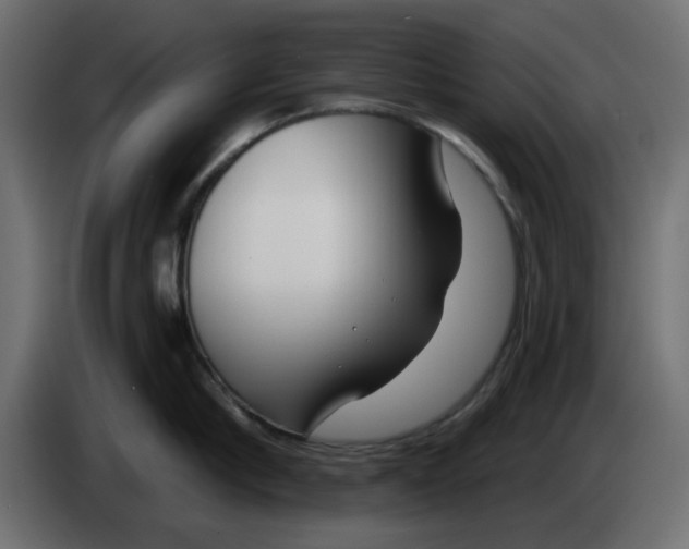 X0000083590910200703021841