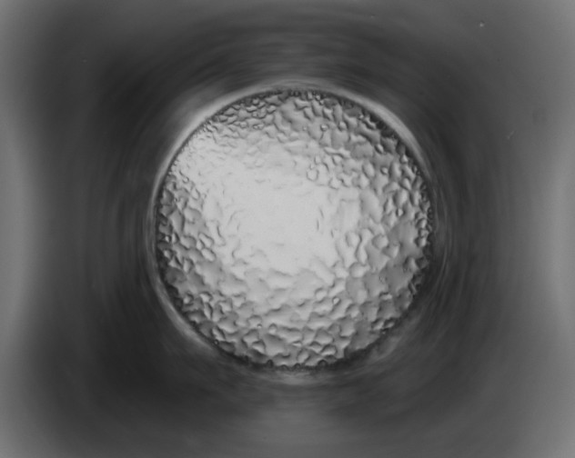 X0000083590911200703021841