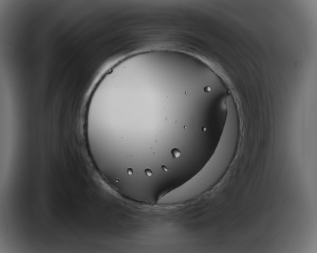X0000083590912200703021841
