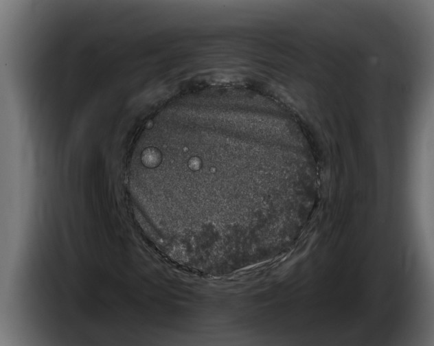 X0000083590913200703021840