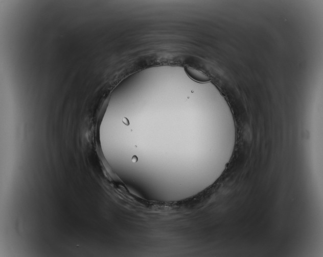 X0000083590914200703021840