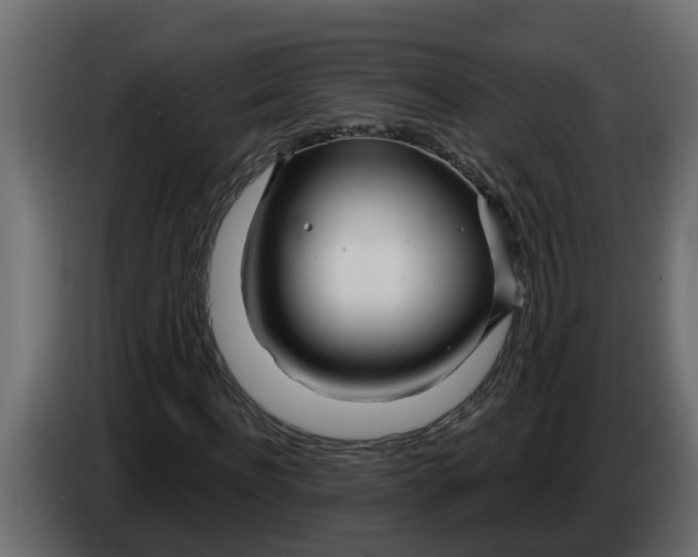 X0000083590916200703021841