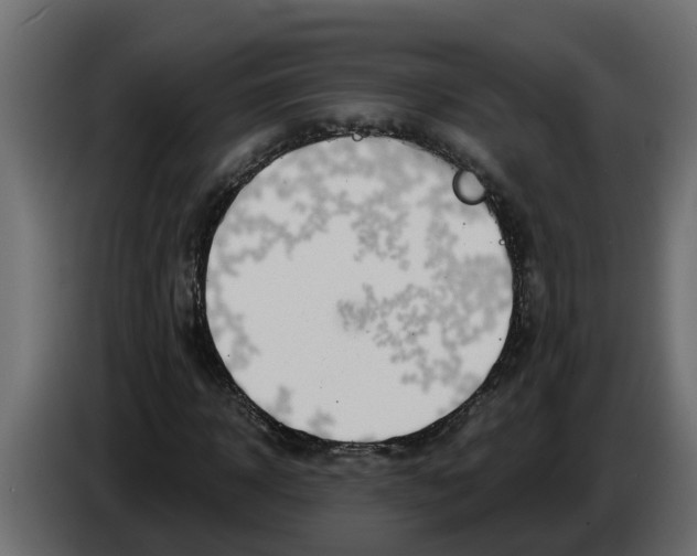X0000083590918200703021841