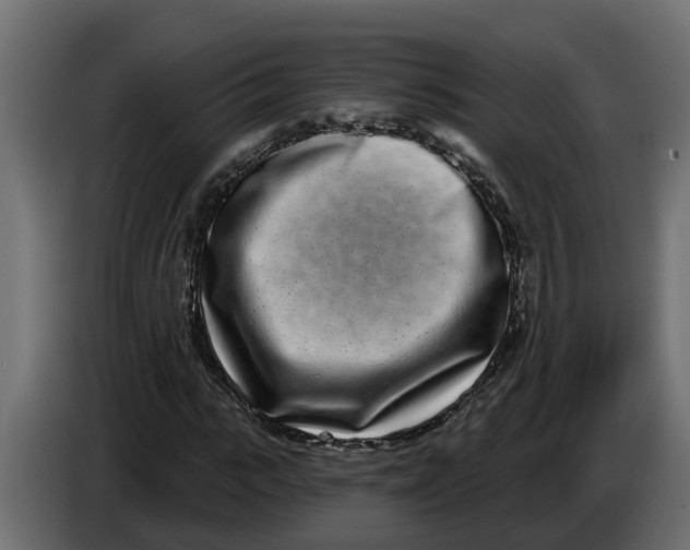 X0000083590919200703021841