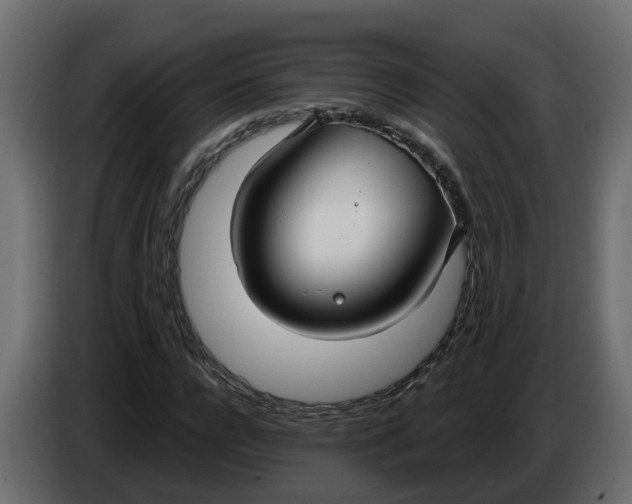 X0000083590920200703021841