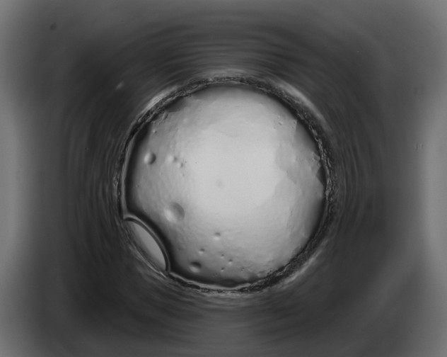 X0000083590921200703021841