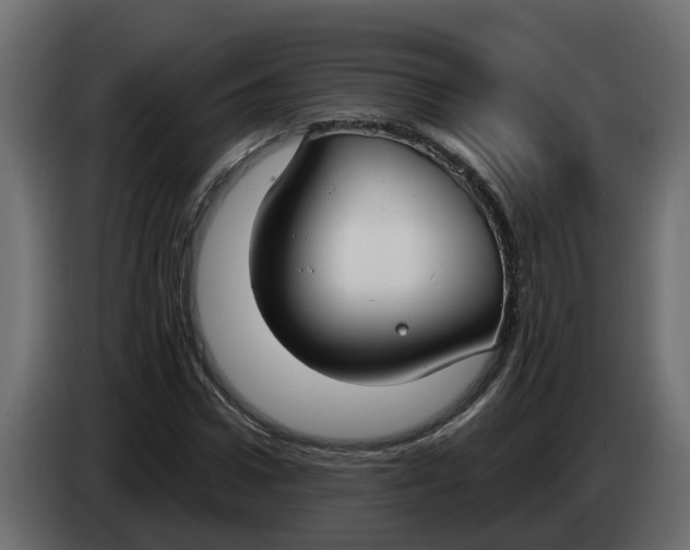 X0000083590922200703021841