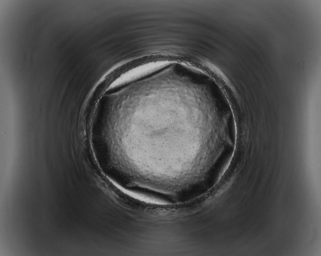 X0000083590923200703021841