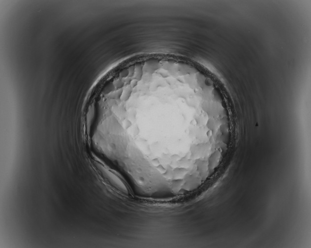 X0000083590925200703021841