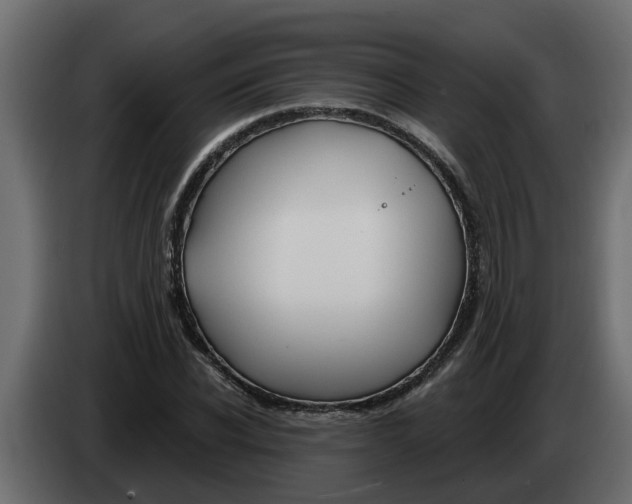 X0000083590926200703021841