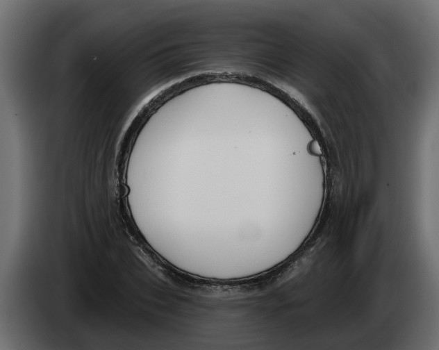 X0000083590927200703021841