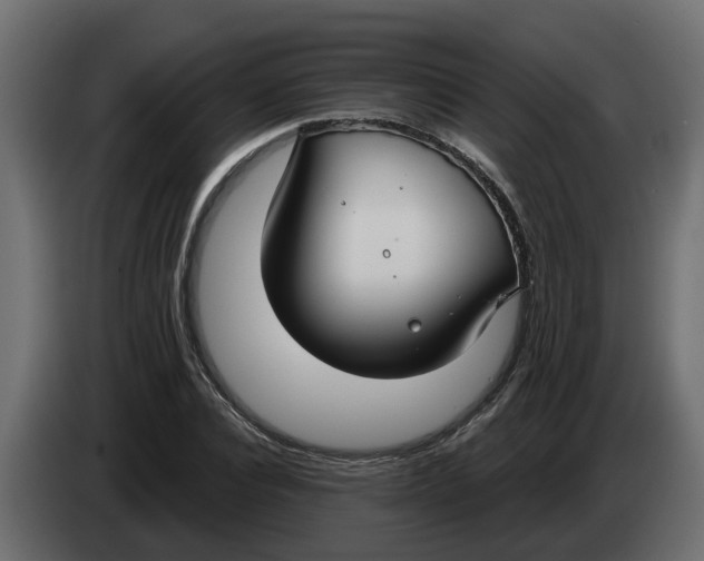 X0000083590928200703021841