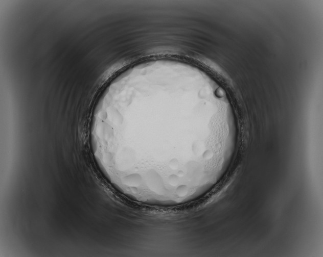X0000083590929200703021841