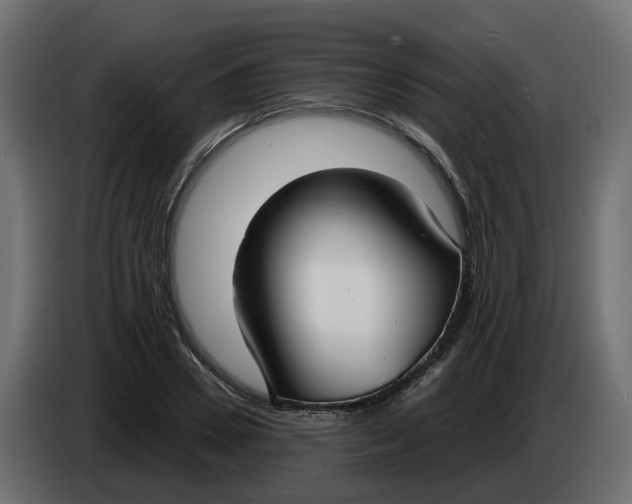 X0000083590930200703021841