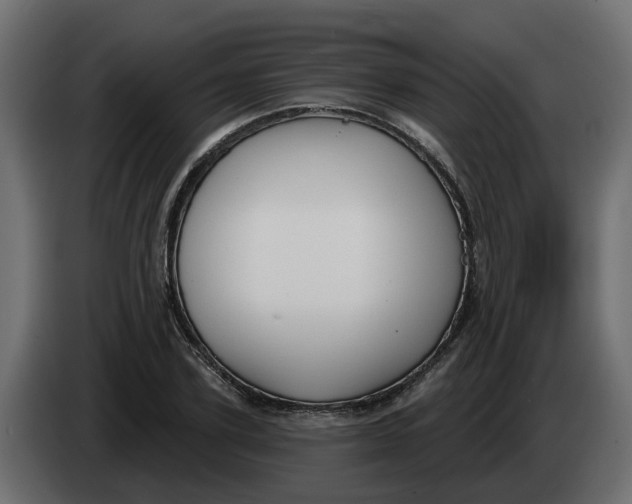 X0000083590931200703021841