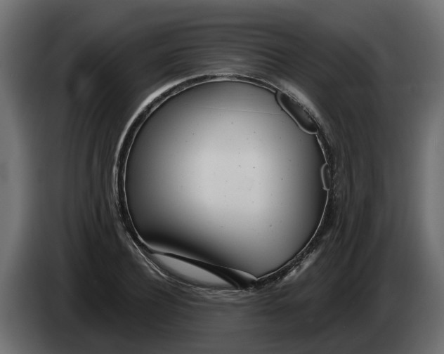 X0000083590932200703021841
