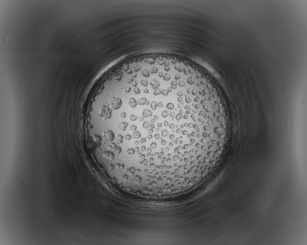 X0000083590933200703021841
