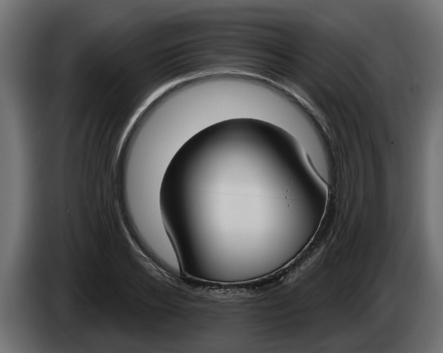 X0000083590934200703021841