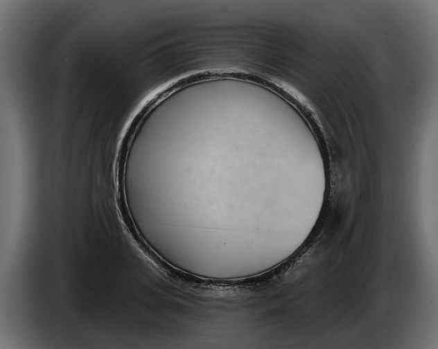 X0000083590935200703021841