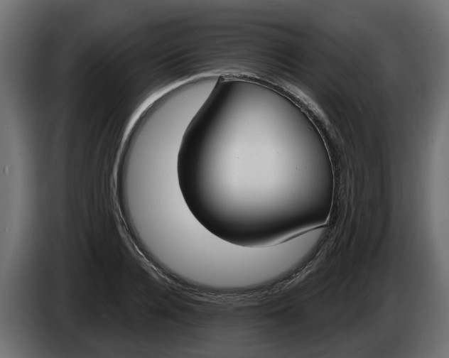 X0000083590936200703021841
