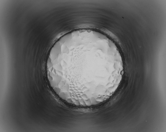 X0000083590937200703021841